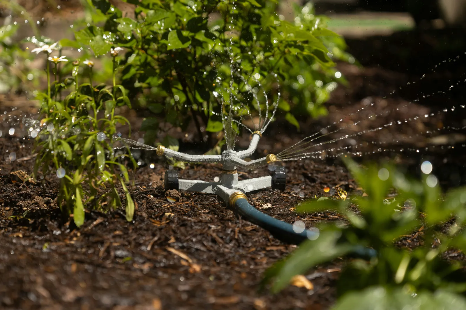 Drip Irrigation