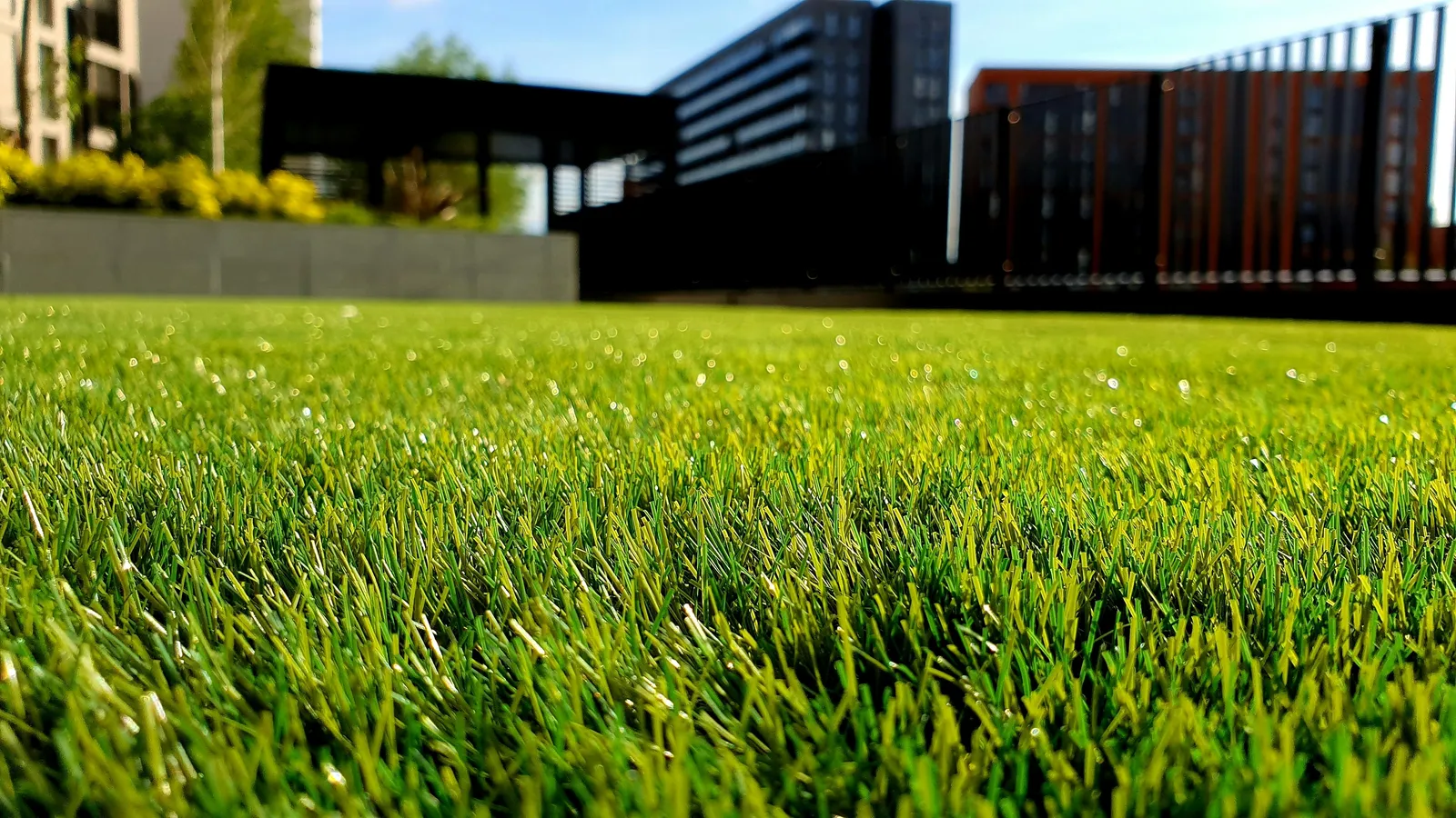 Professional Lawn Care