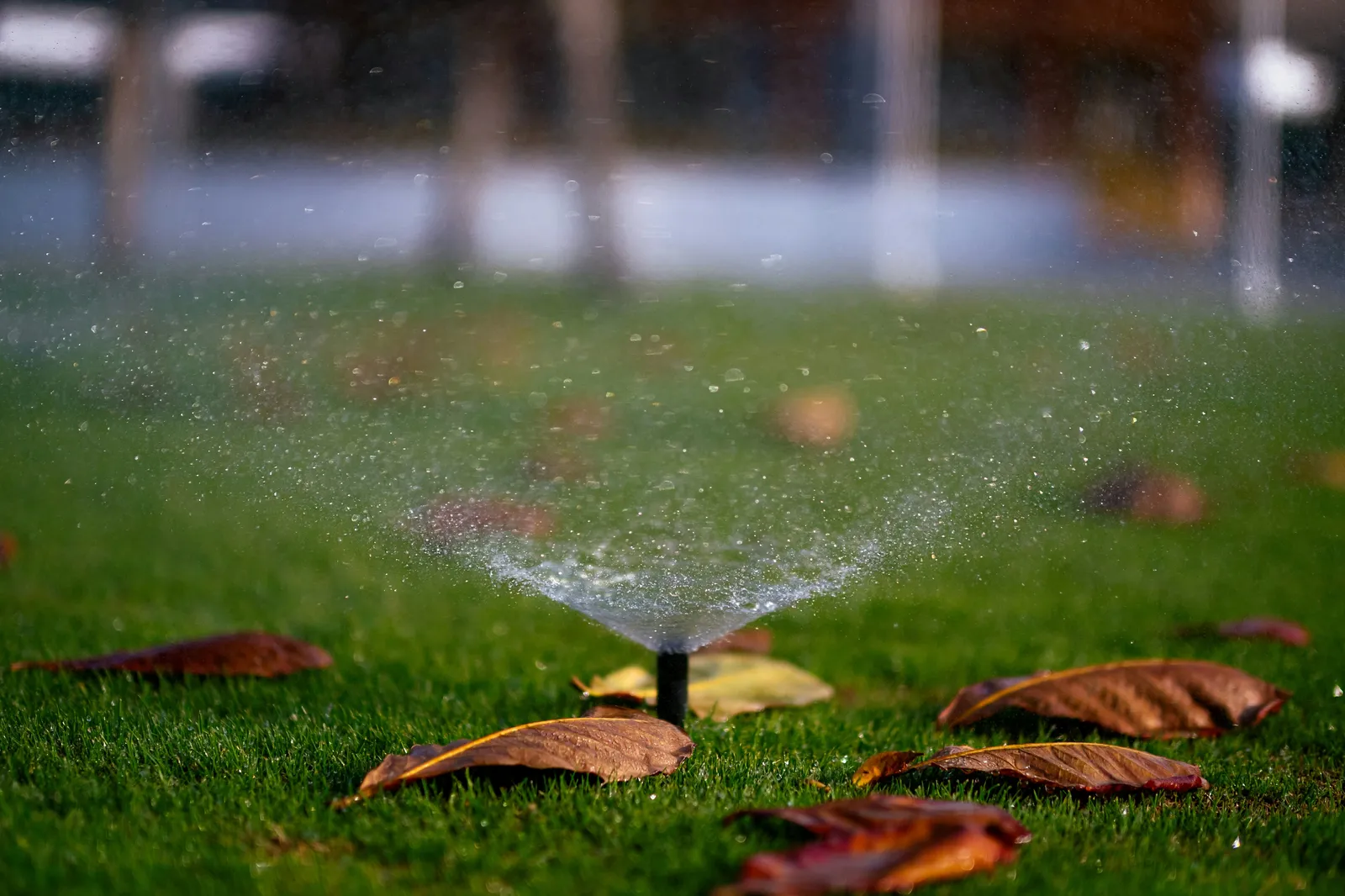 Sprinkler Systems